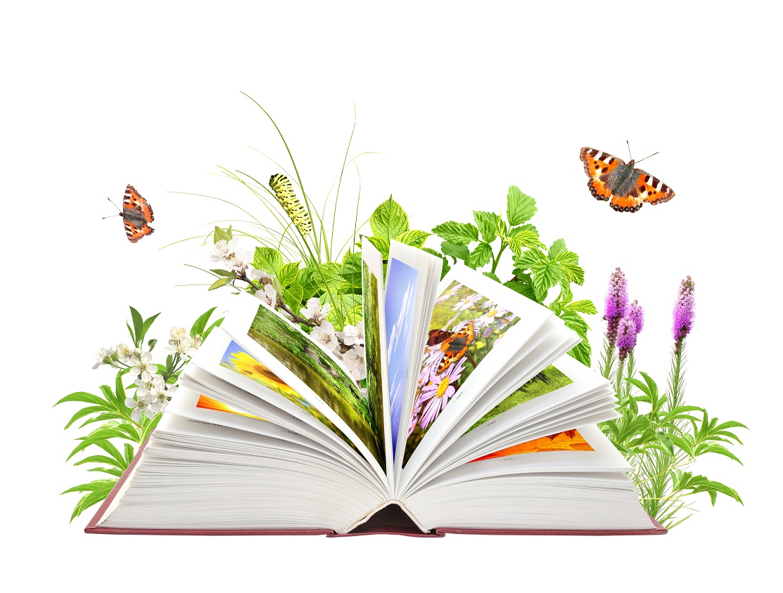 Lecture quatre saisons